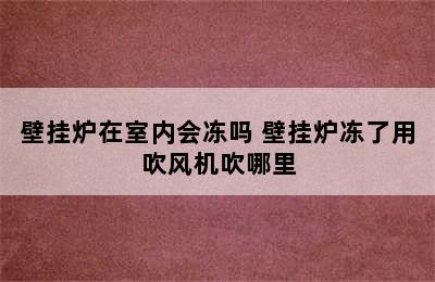 壁挂炉在室内会冻吗 壁挂炉冻了用吹风机吹哪里